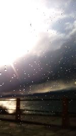 Close-up of water drops on leaf