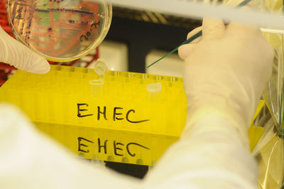 Cropped hand of man holding thermometer