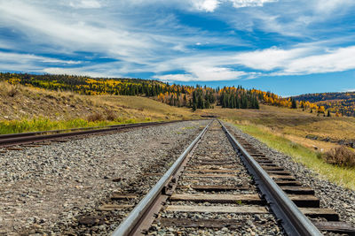 Railroad tracks amidst trees against sky