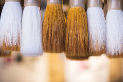 Close-up of paintbrushes