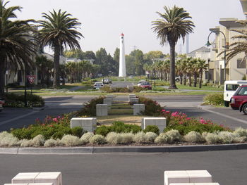 Scenic view of palm trees in city