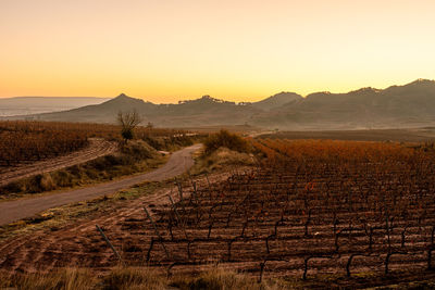 Scenic view of landscape against sky during sunset