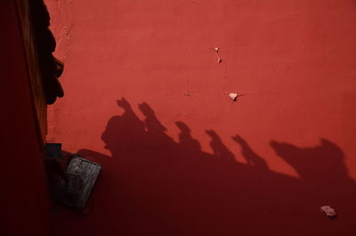 Shadow of people on red wall