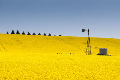 Scenic view of agricultural field against clear sky