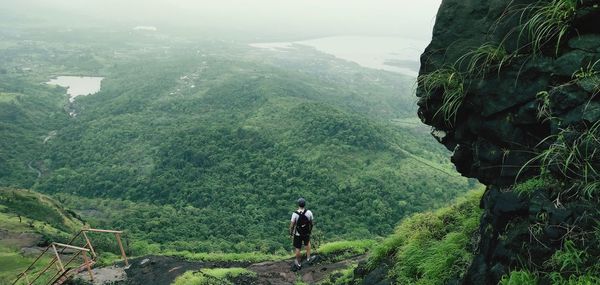 Rear view of man looking at mountains