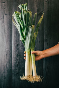 Hand holding vegetables