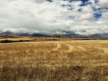 Scenic view of field against cloudy sky