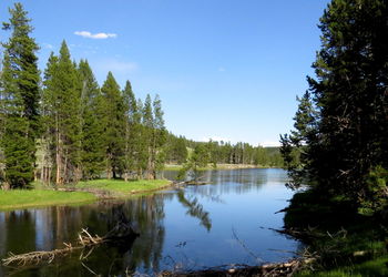 View of calm lake against trees