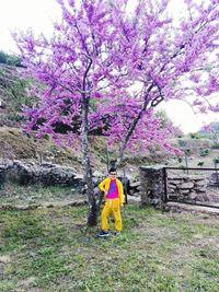 Woman with yellow flowers on tree