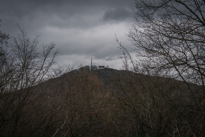 Low angle view of bare trees against sky