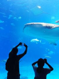 Rear view of people photographing fishes in aquarium