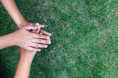 High angle view of woman hand on grass