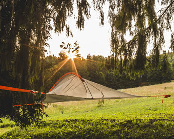 Scenic view of field against sky