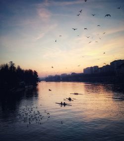 Silhouette birds flying over lake against sky during sunset