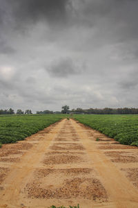 Road passing through field against cloudy sky