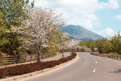 Road amidst trees against sky