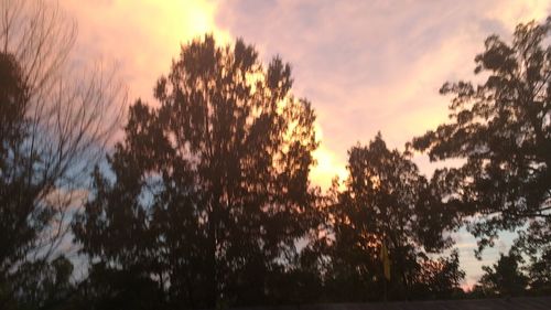 Silhouette trees against sky during sunset