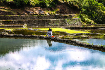 Rear view of girl sitting by rice paddy
