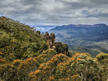 View of trees on landscape against cloudy sky