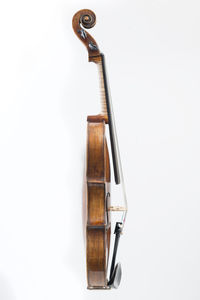 Close-up of crane against white background