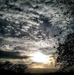 Silhouette of trees against cloudy sky