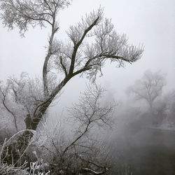 Bare tree against sky during winter