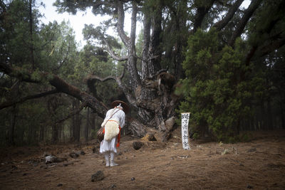 Rear view of woman standing in forest