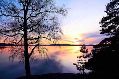 Silhouette tree by lake against sky during sunset