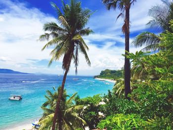 Palm trees on beach against cloudy sky