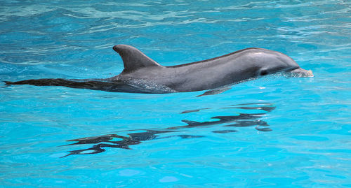 Swimming pool in sea