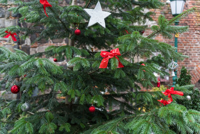 Close-up of christmas decorations on tree