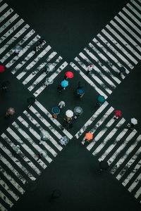 High angle view of people holding umbrellas while walking on road