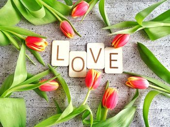 Directly above shot of love text amidst tulips