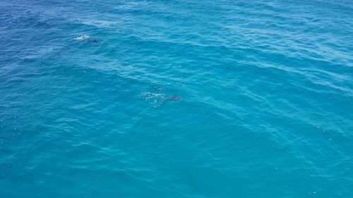 High angle view of blue sea