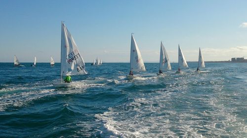 Sailboat race in sea