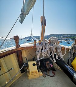 View of fishing boats moored in sea against clear sky