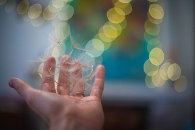 Close-up of hand holding dandelion seeds