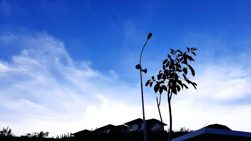 Low angle view of silhouette tree against sky