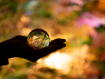 Close-up of hand holding crystal ball