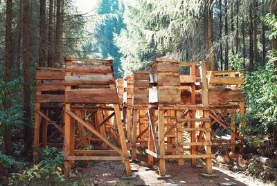 Empty wooden table and trees in forest