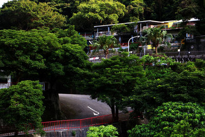 Footbridge over trees in garden