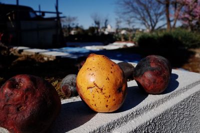 Rotten fruits on retaining wall