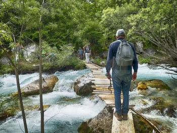 Rear view of man standing by stream in forest