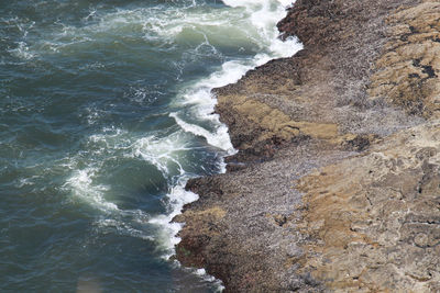 Scenic view of sea