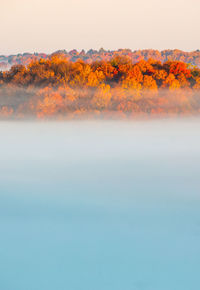 Hilltop fall foliage surrounded by clouds at sunrise