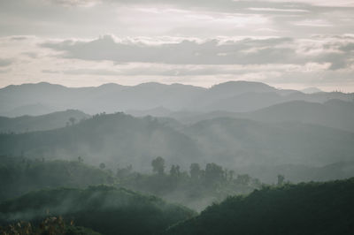 environment