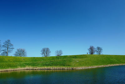 Low angle view of trees against clear blue sky