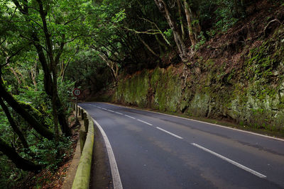 Empty road along trees