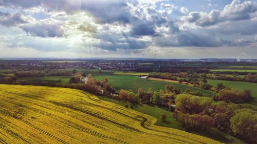 Scenic view of agricultural field against sky