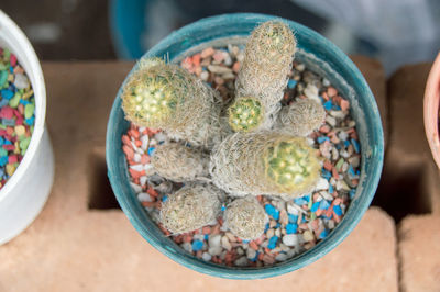 High angle view of candies in jar on table